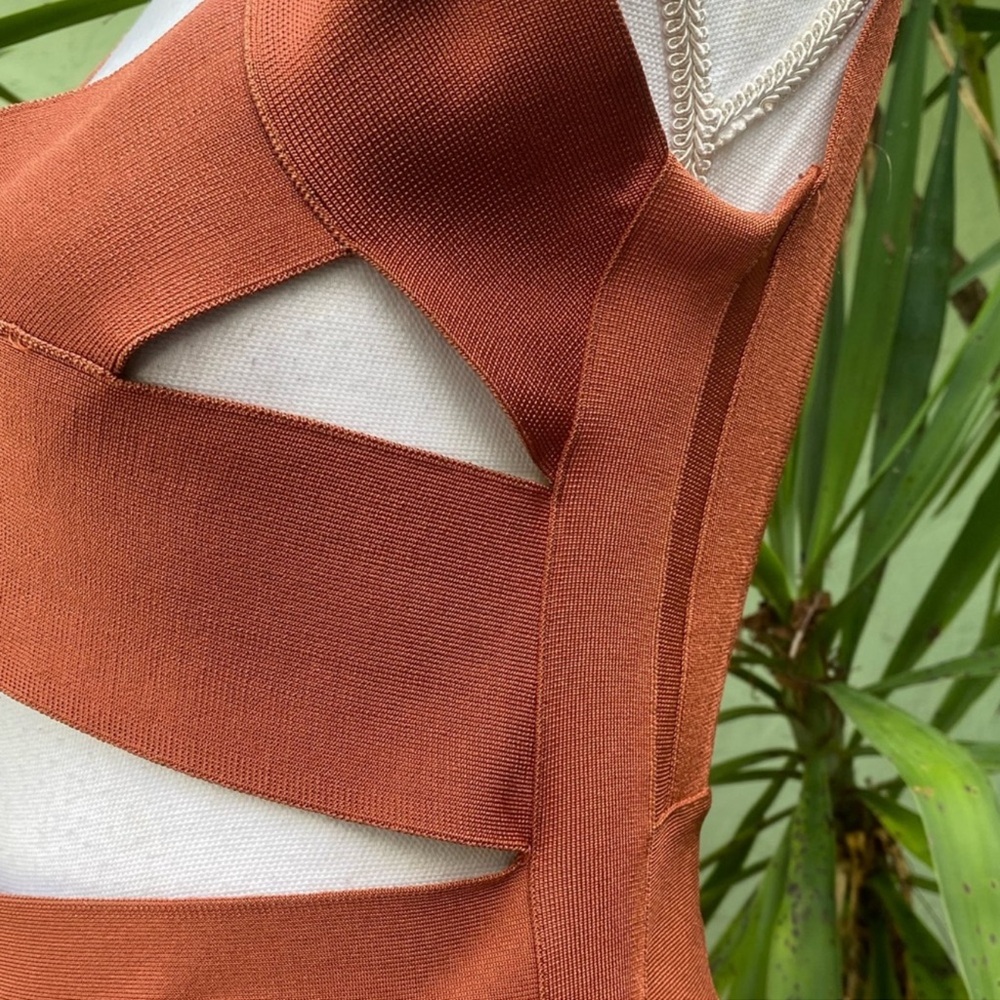 Rusty Burnt Orange Cut Out Bondage Dress - Picture 9 of 13